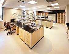 Laboratory workspaces and storage